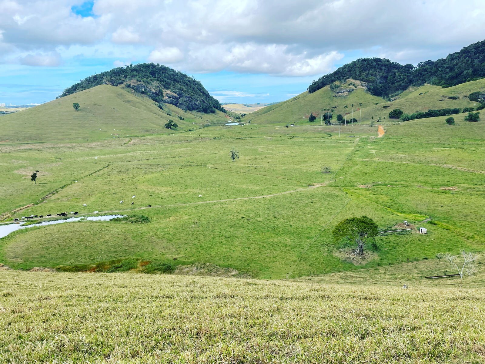 Vista panorâmica da Fazenda Cachoeiro