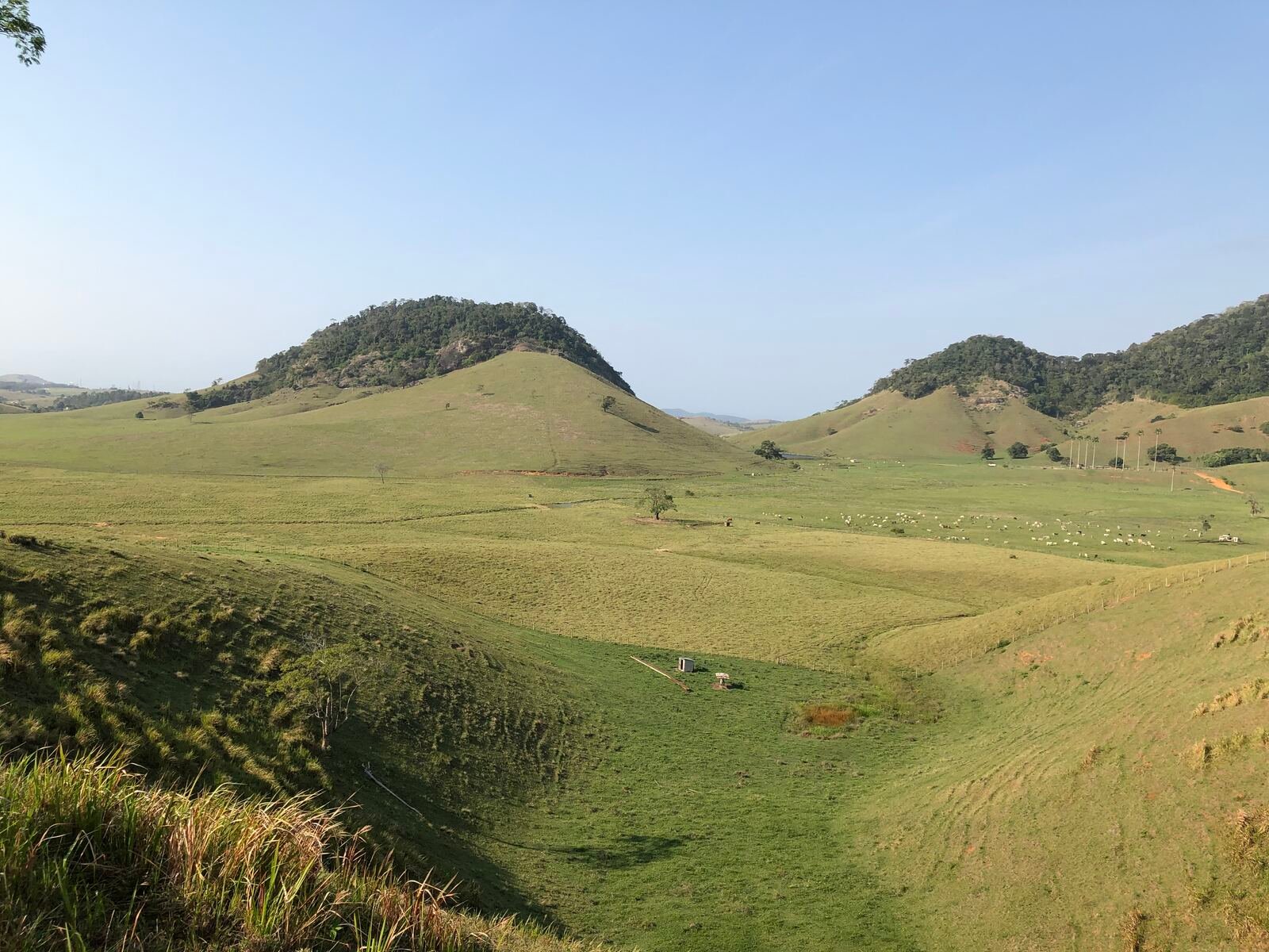 Vista panorâmica das pastagens